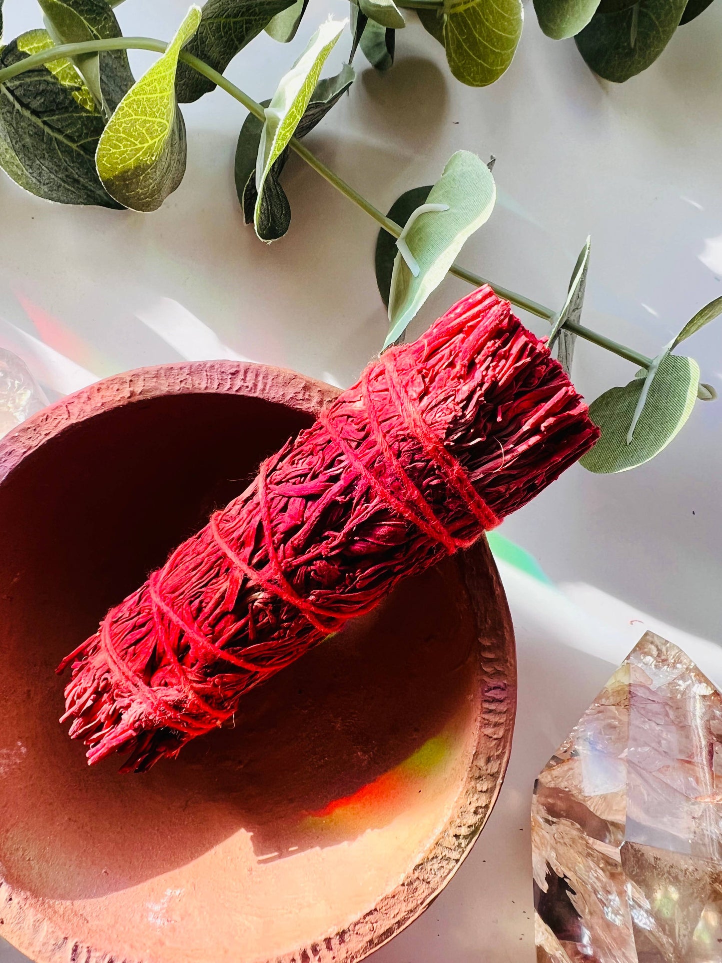 Dragon's Blood Sage Cleansing Botanical