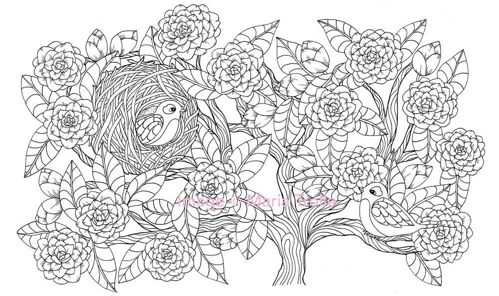 Twilight Garden Coloring Book