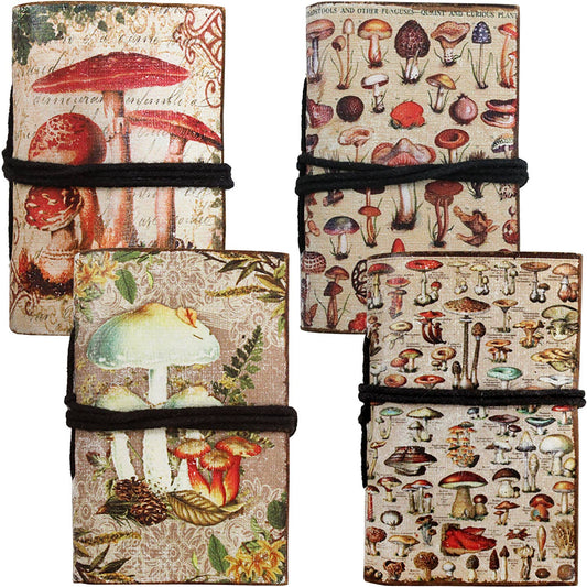 Mushroom Mini Tie Journal Asst  ASE138
