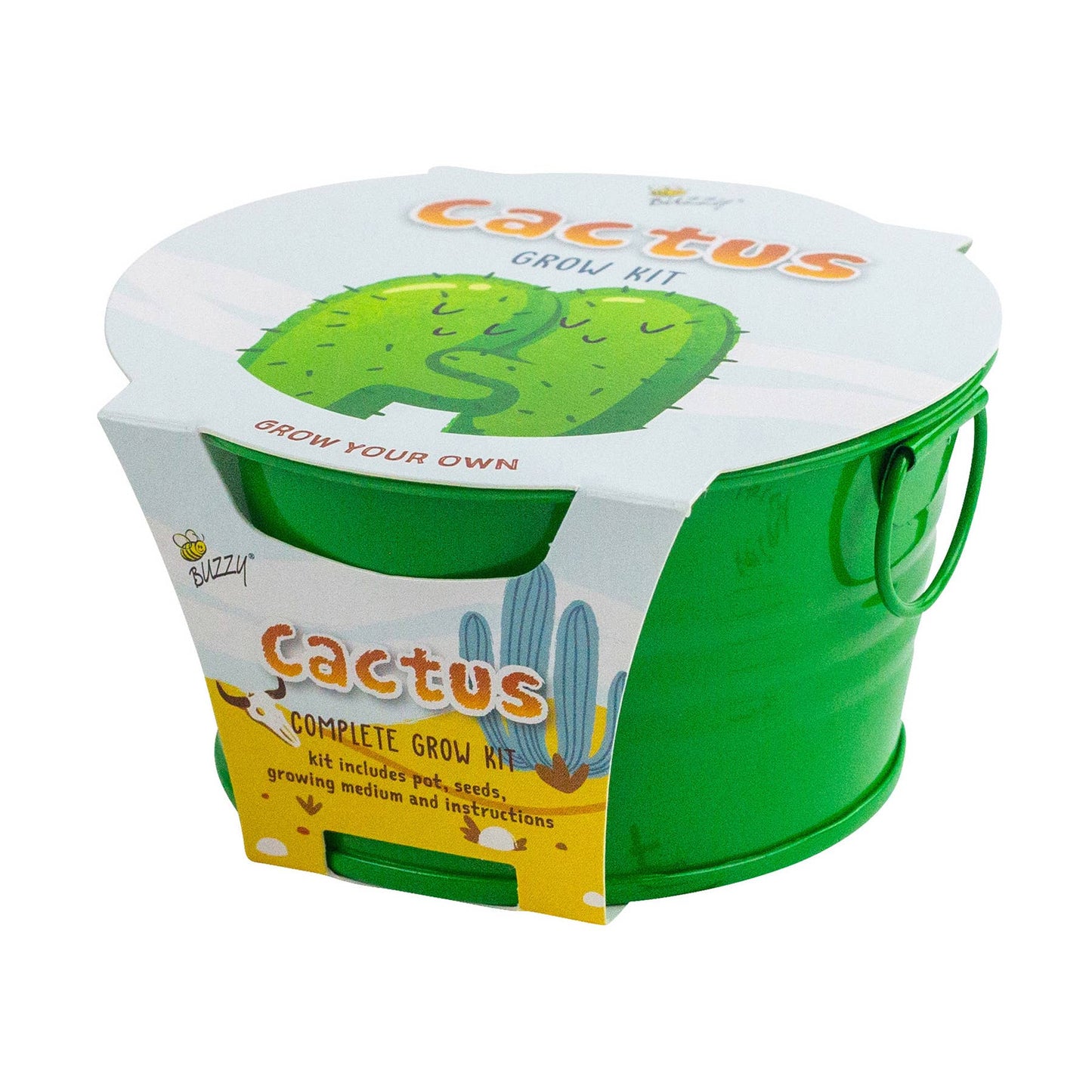 Kids Mini Painted Basin Cactus Grow Kit – Indoor Gift