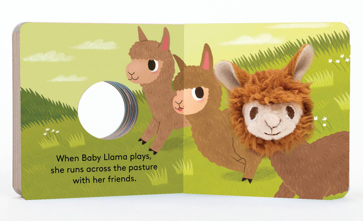 Baby Llama