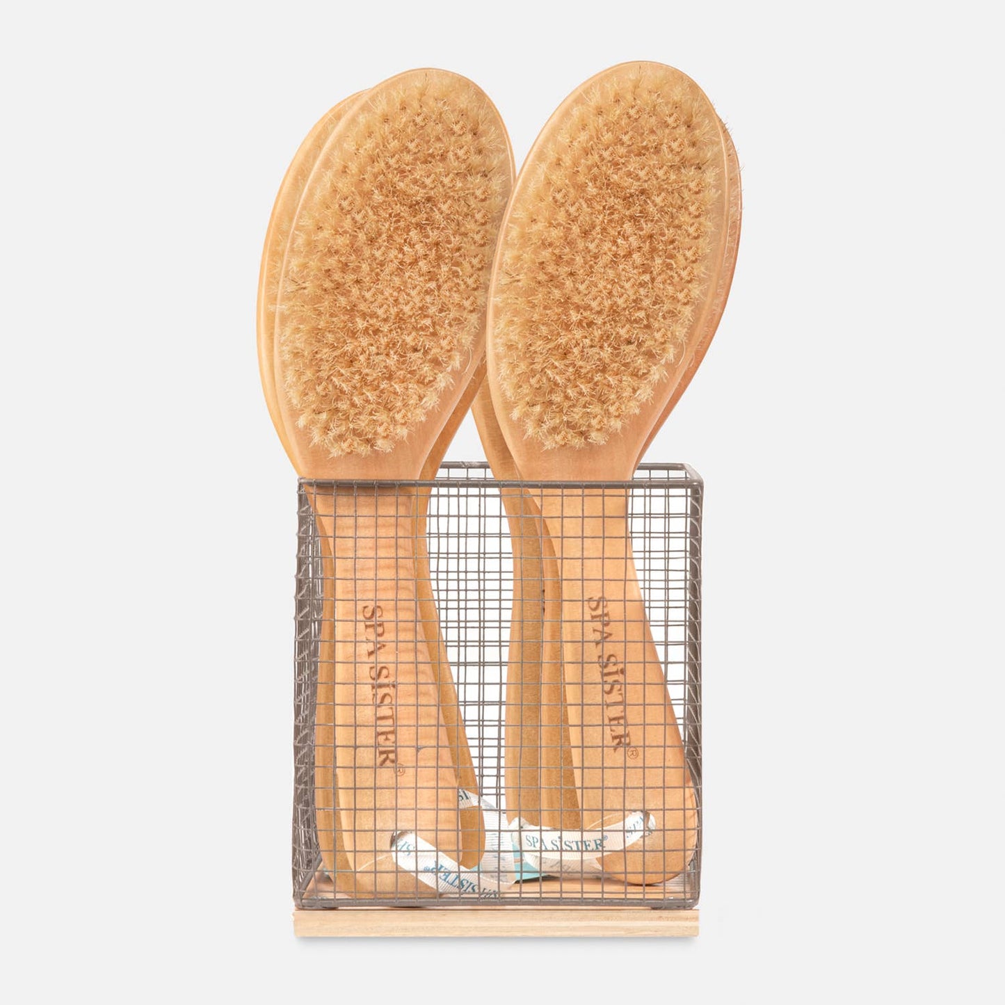 Body Brush Display 8 ct.