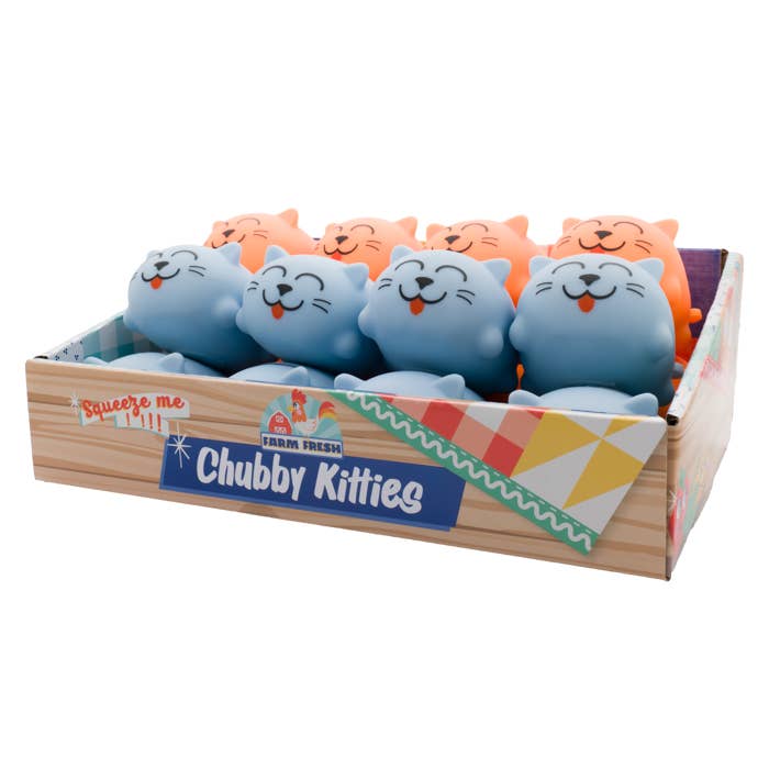 Farm Fresh Chubby Kitties, Random Color