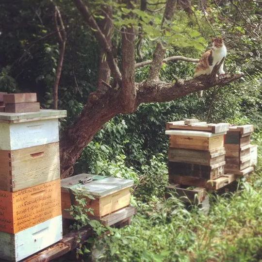 Lavender Oatmeal - Milk and Honey Lotion - 2oz Travel