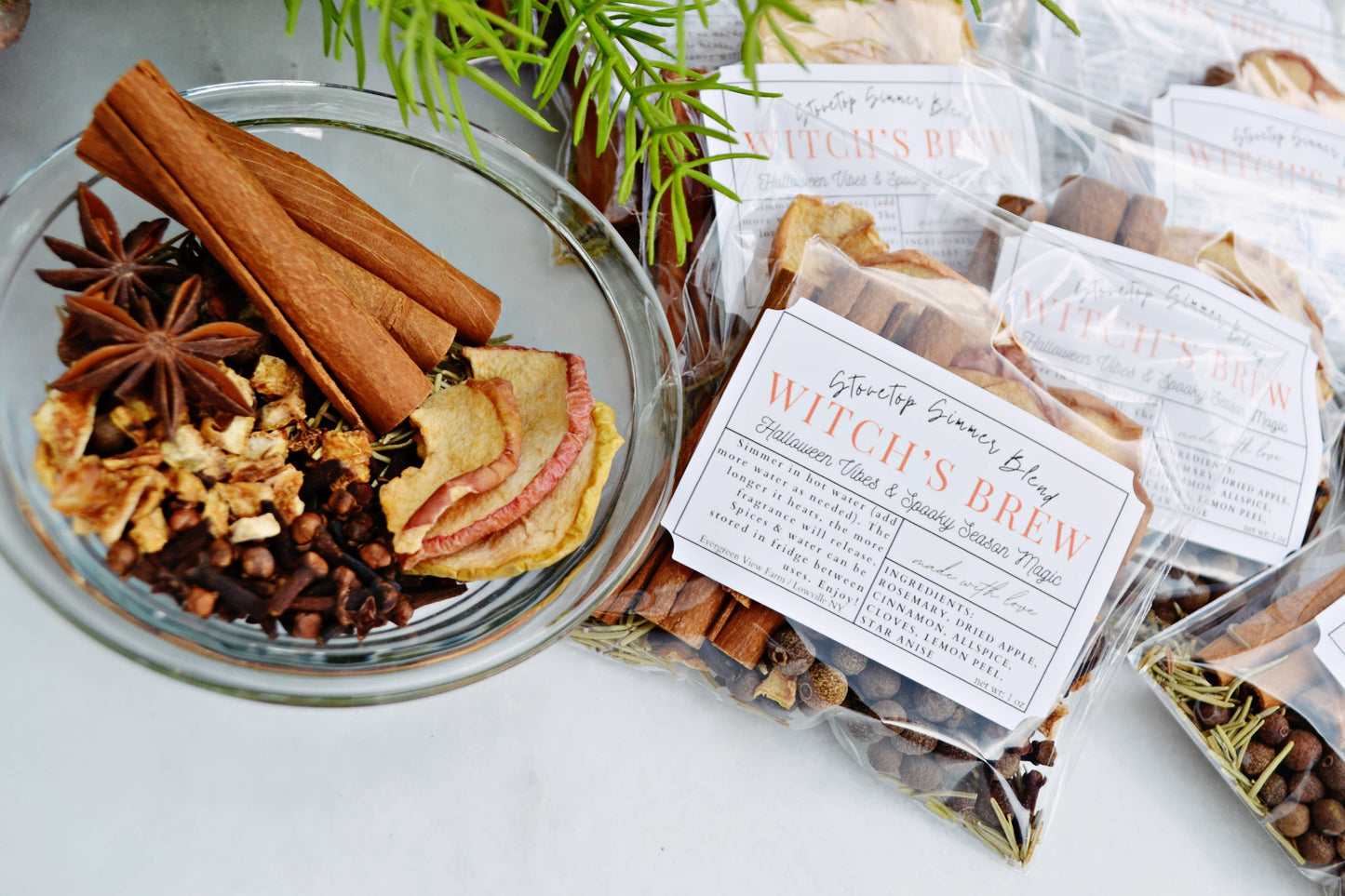 Witch's Brew Autumn Fall Halloween Simmer Stovetop Spices