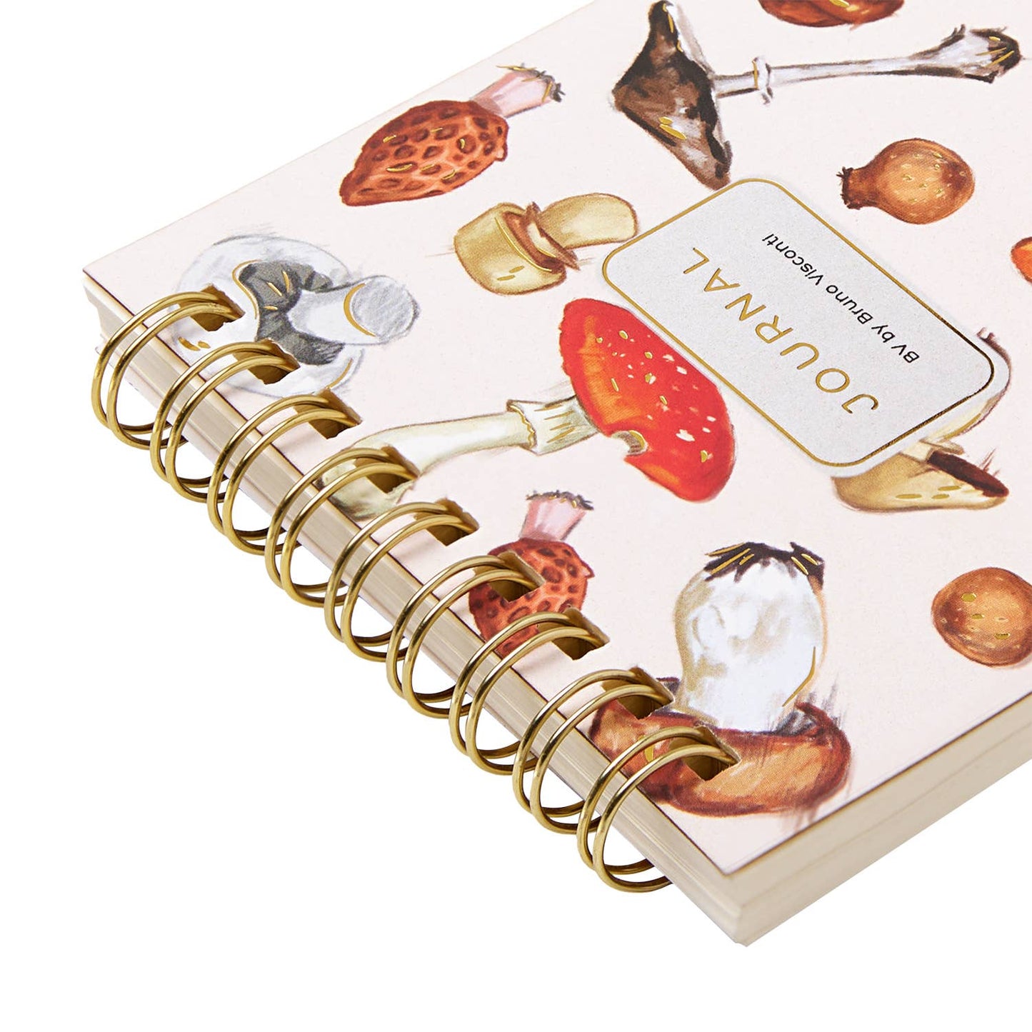 Pocket Art Journal - Mushrooms on White