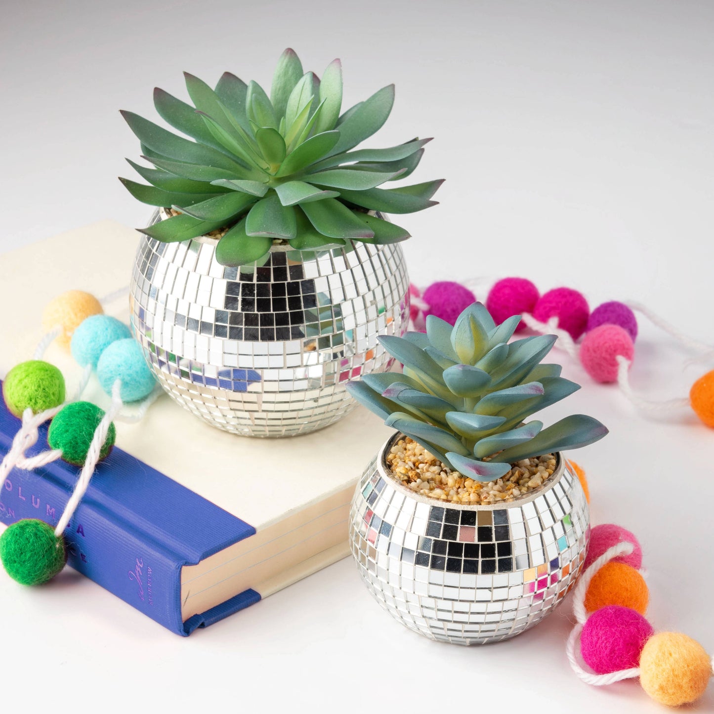 Disco Succulent Pot