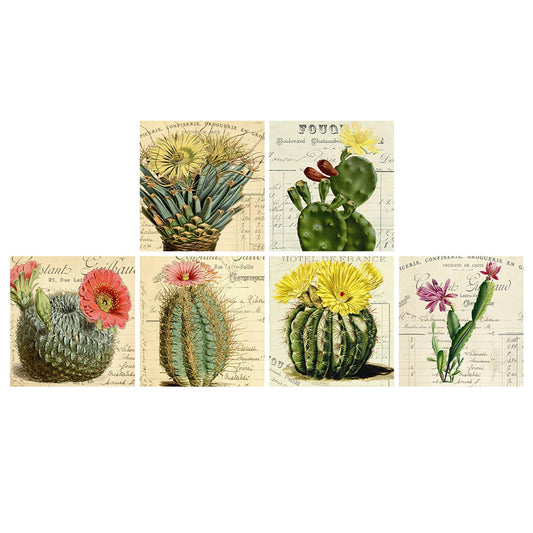 Vintage Cactus Square Matchbox