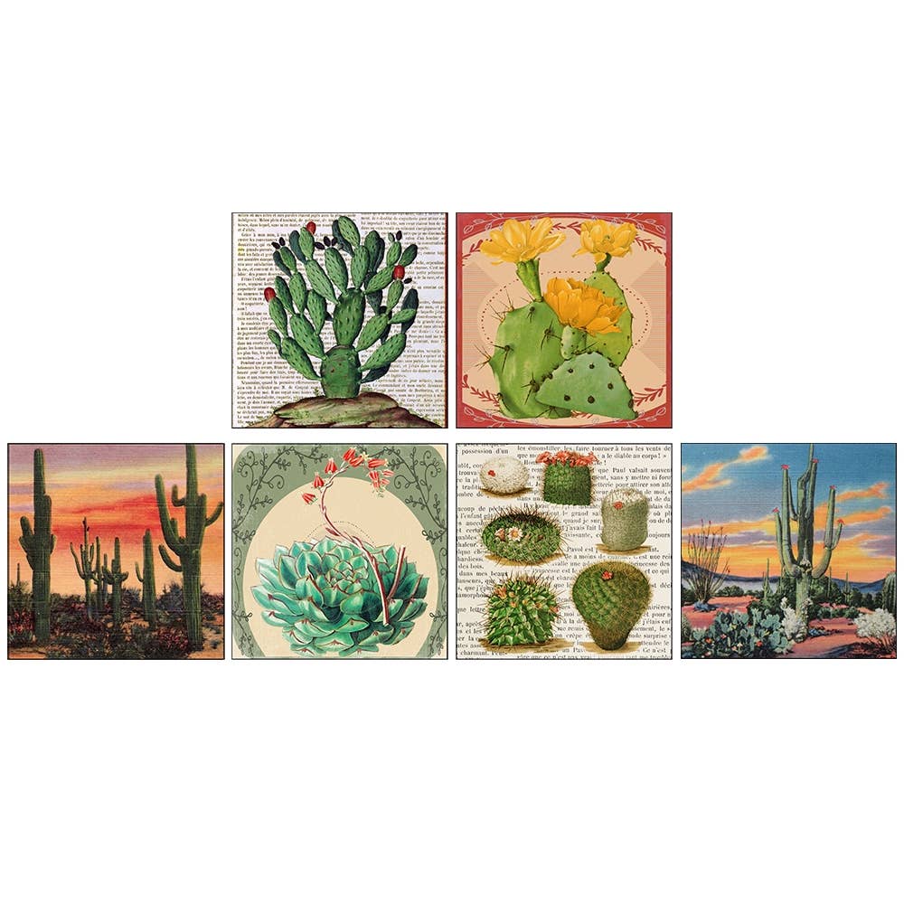 Desert Beauty Square Matchboxes