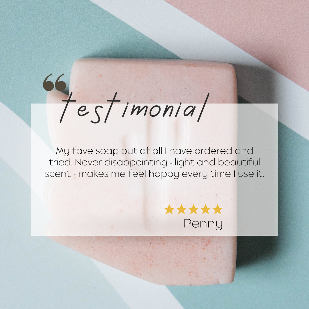 Arizona Cactus Flower