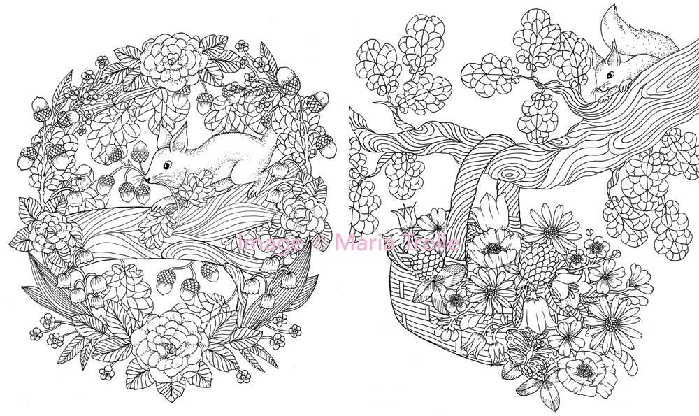 Twilight Garden Coloring Book