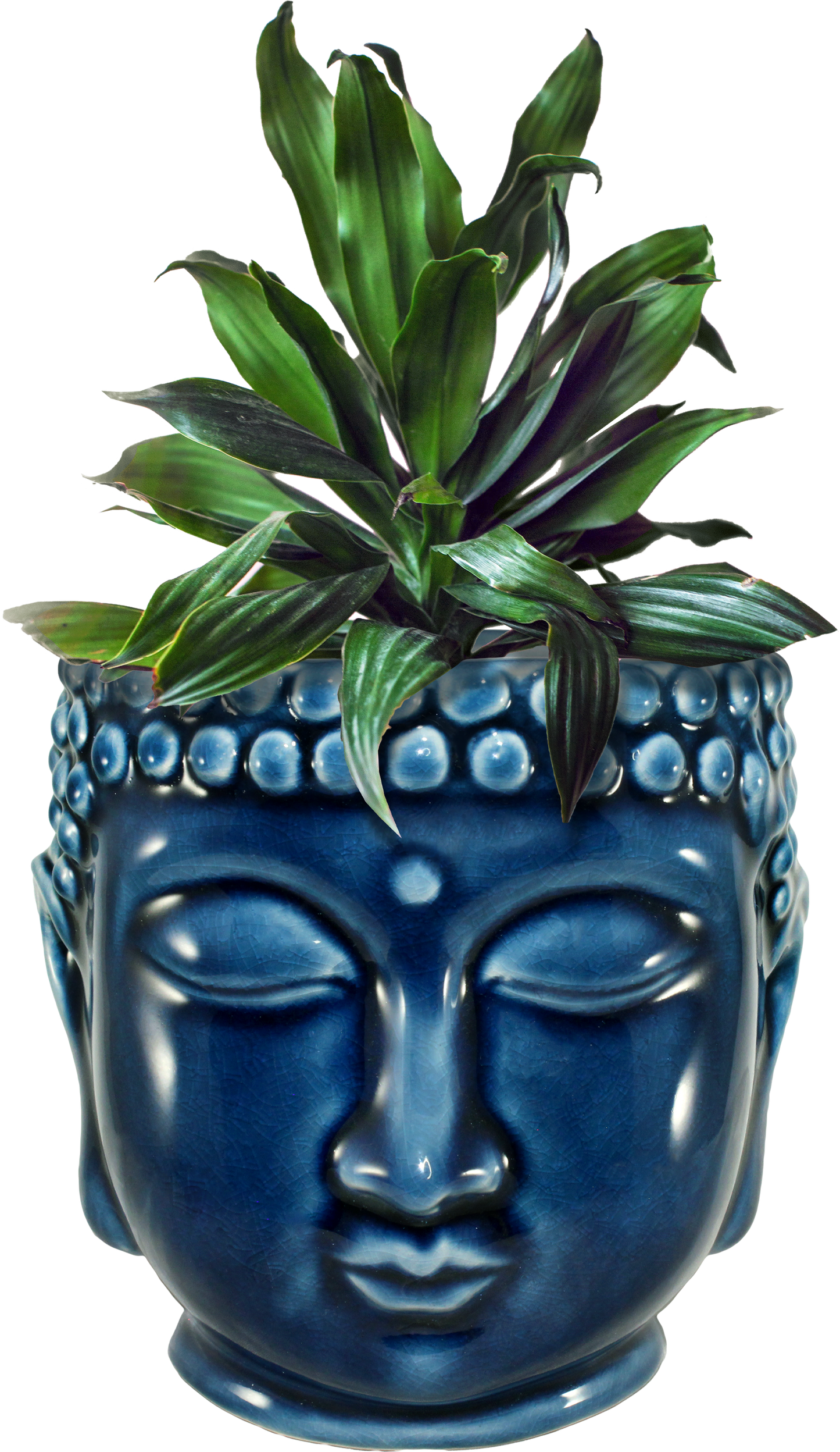 Buddha Planter - XD137