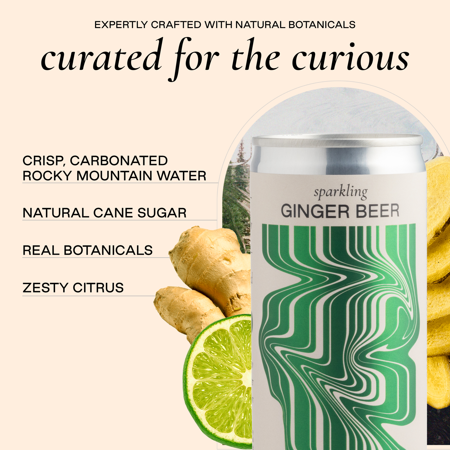 Ginger Beer - 24 Pack Of Cans