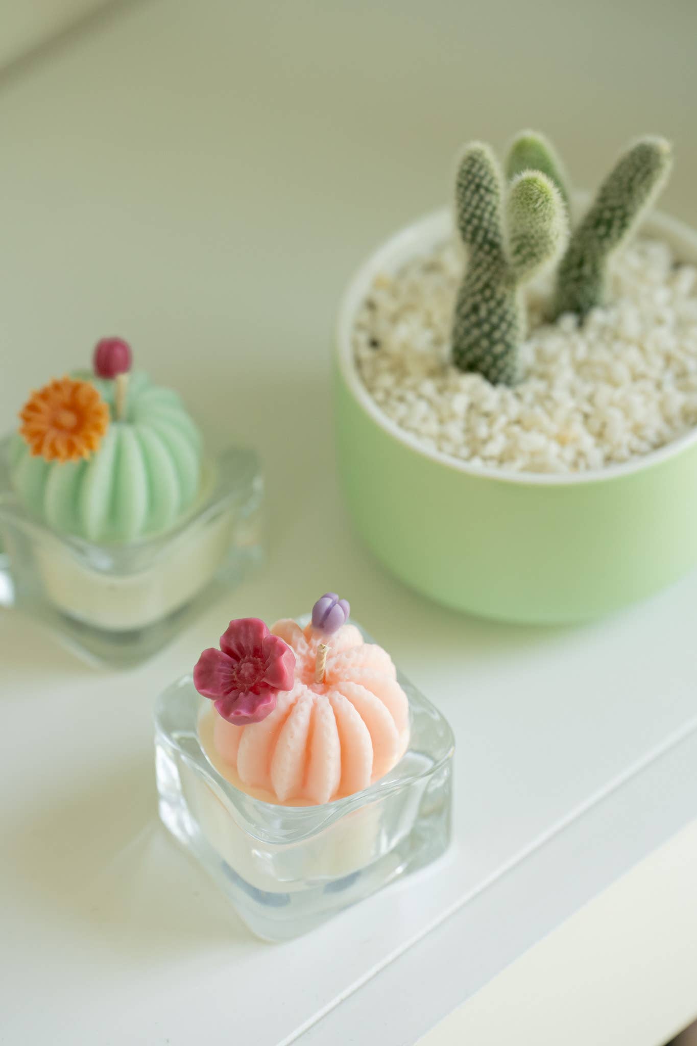 Barrel Cactus Candles: Green w/ red