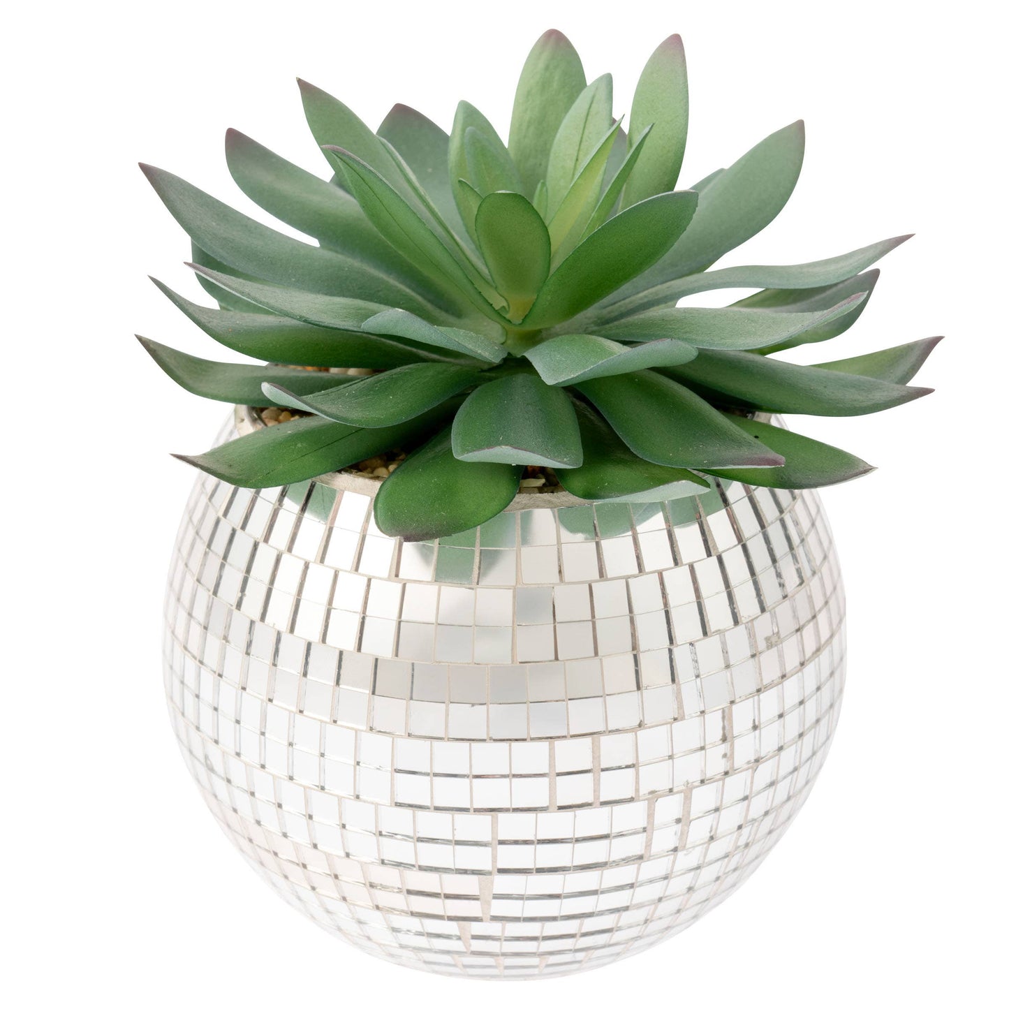 Disco Succulent Pot