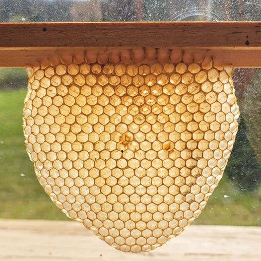 Flower Pillar Candle - 100% Beeswax - Handmade