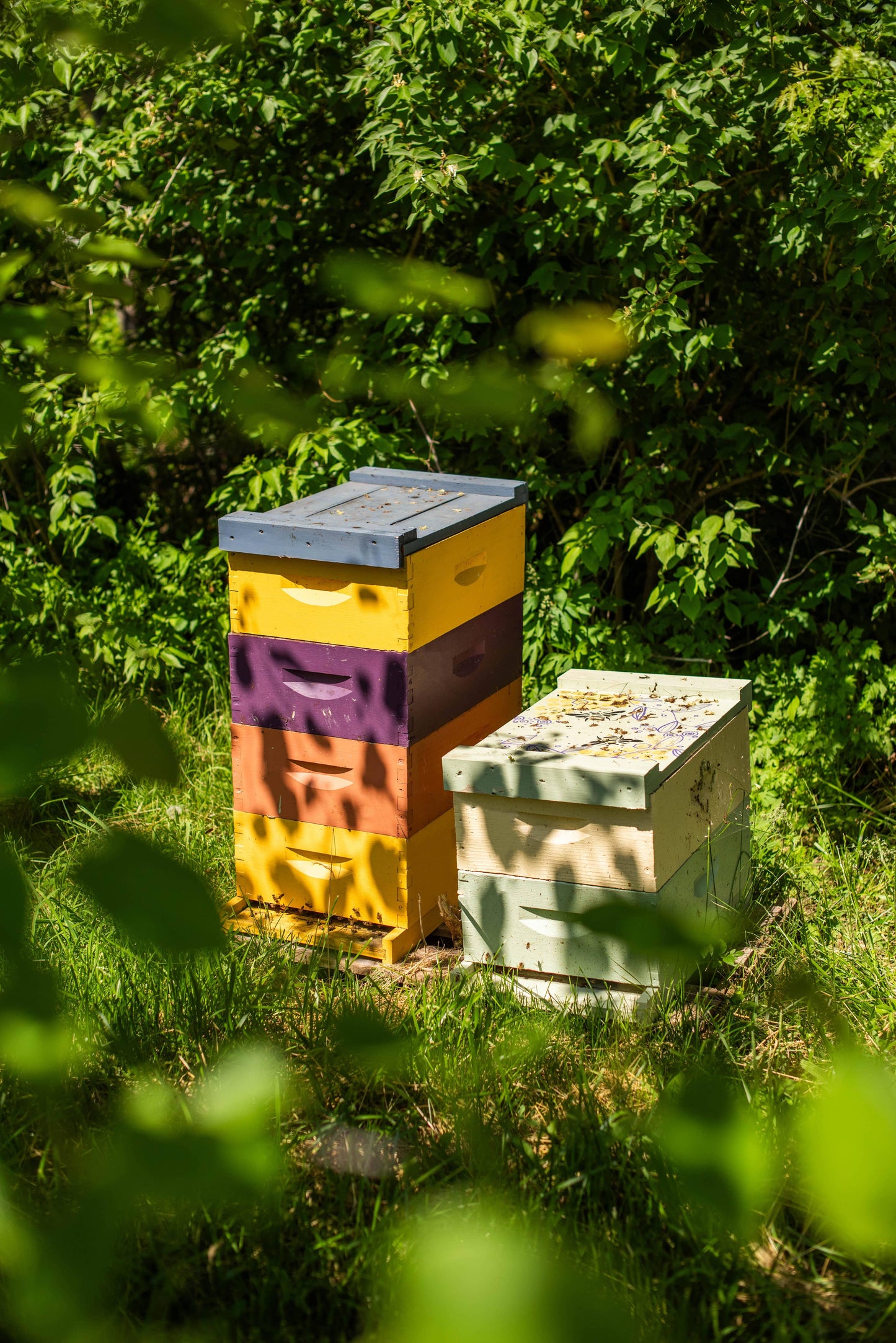 Solid Cologne - Orion - Handmade with beeswax