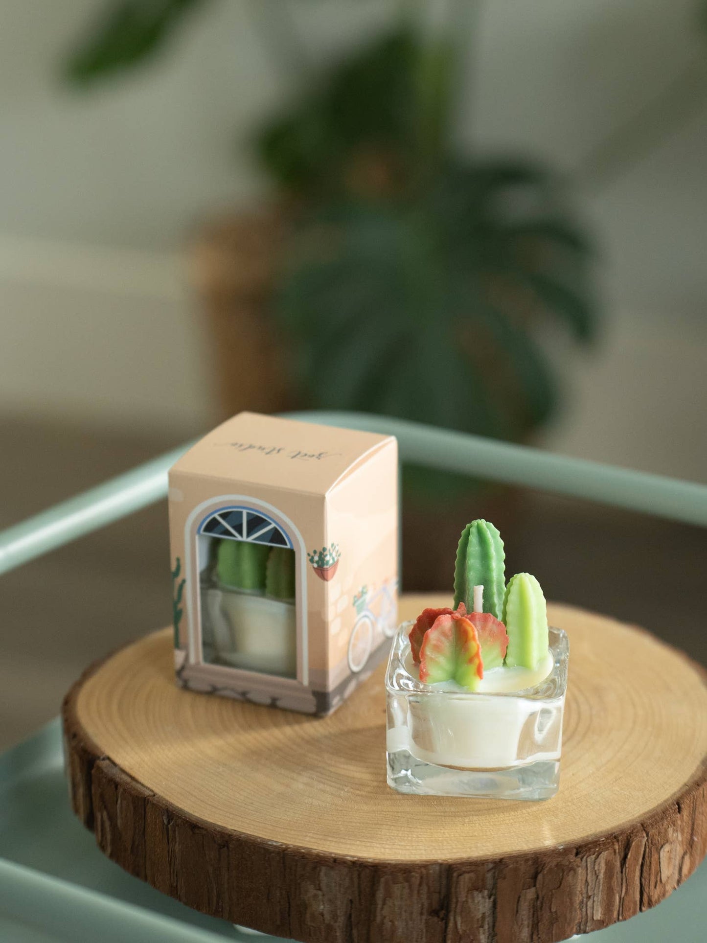 Bunny Ears and Fairy Castle Cactus Tealight Candles