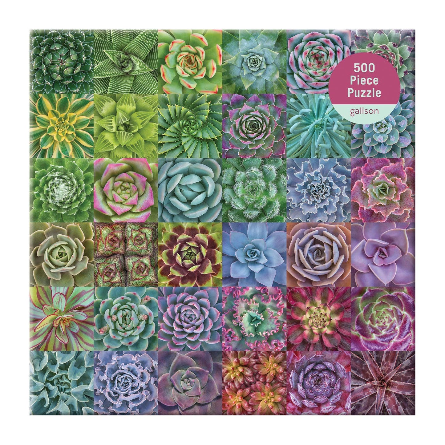 Succulent Spectrum 500 Piece Puzzle