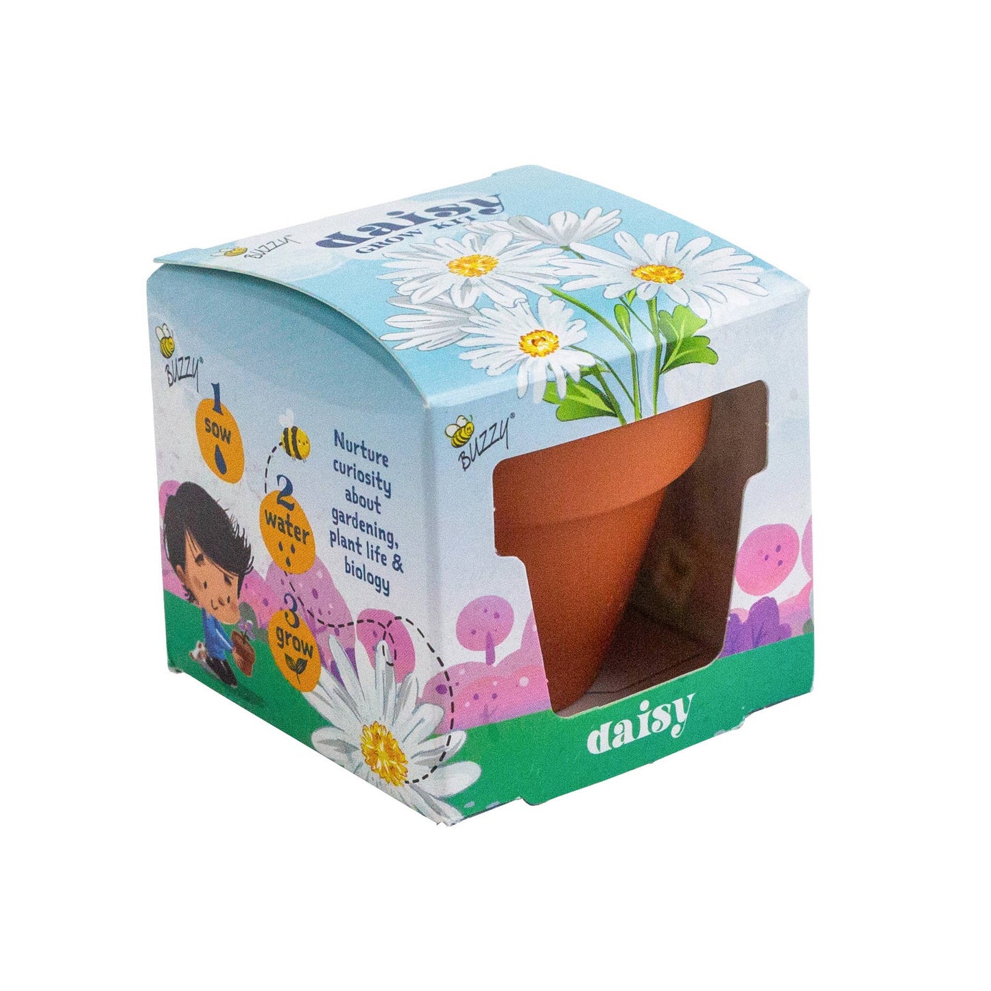 Buzzy Seeds Kid's Mini Terracotta Pots - Daisy Grow Kit