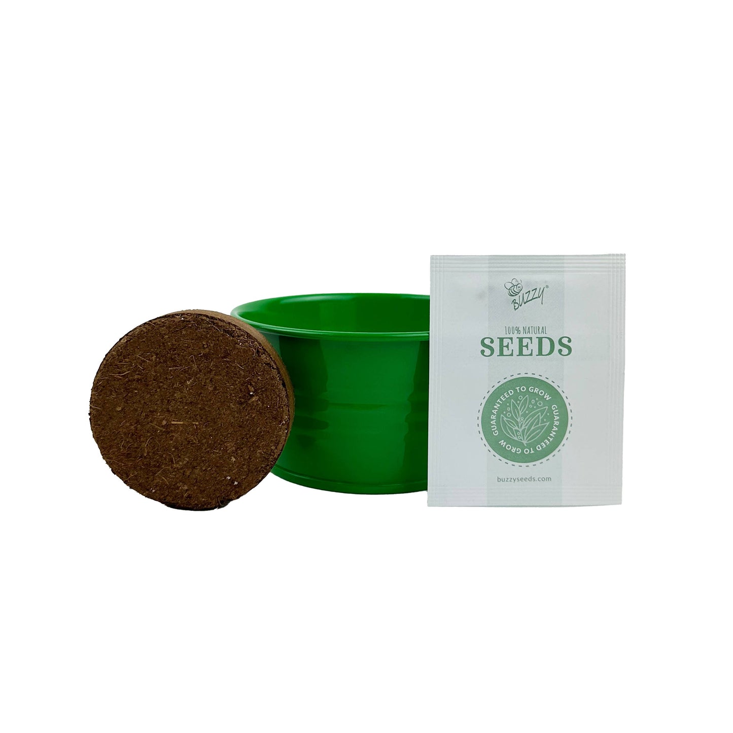 Kids Mini Painted Basin Cactus Grow Kit – Indoor Gift