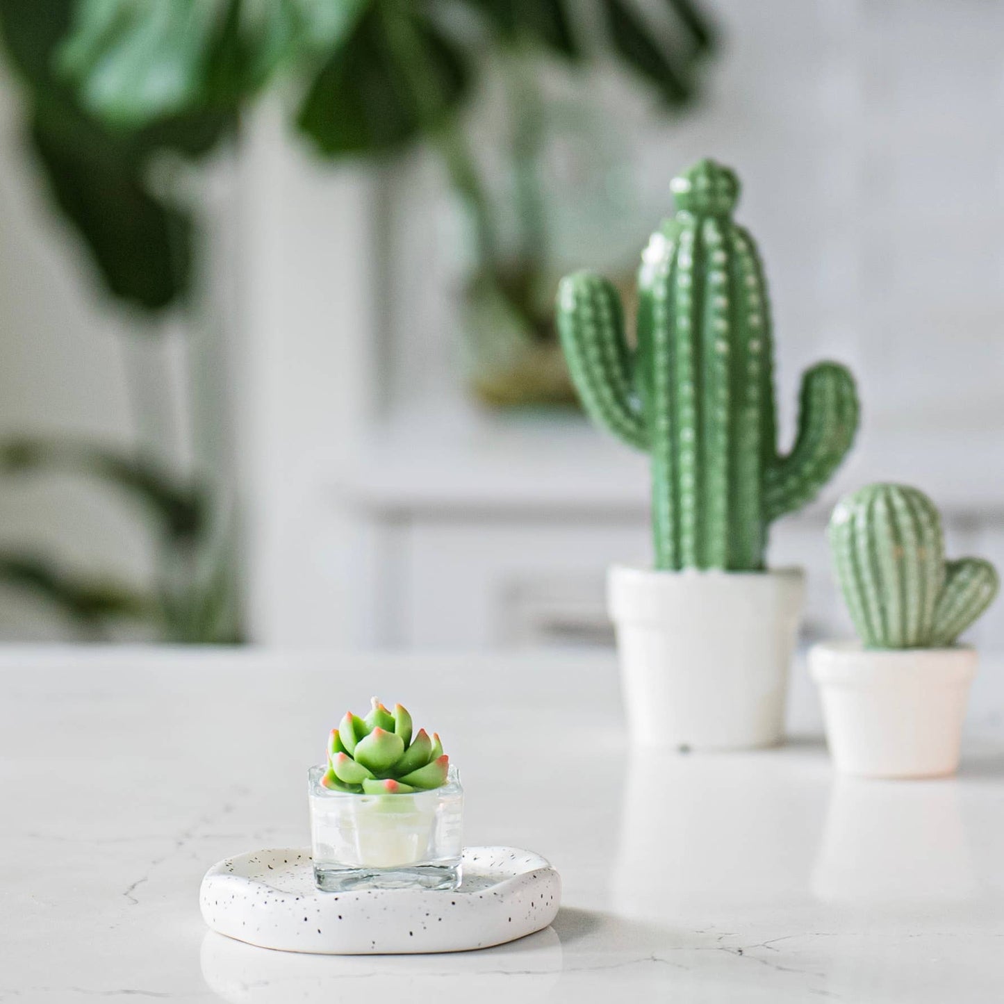 Succulent Tealight Candles | Soy Blend
