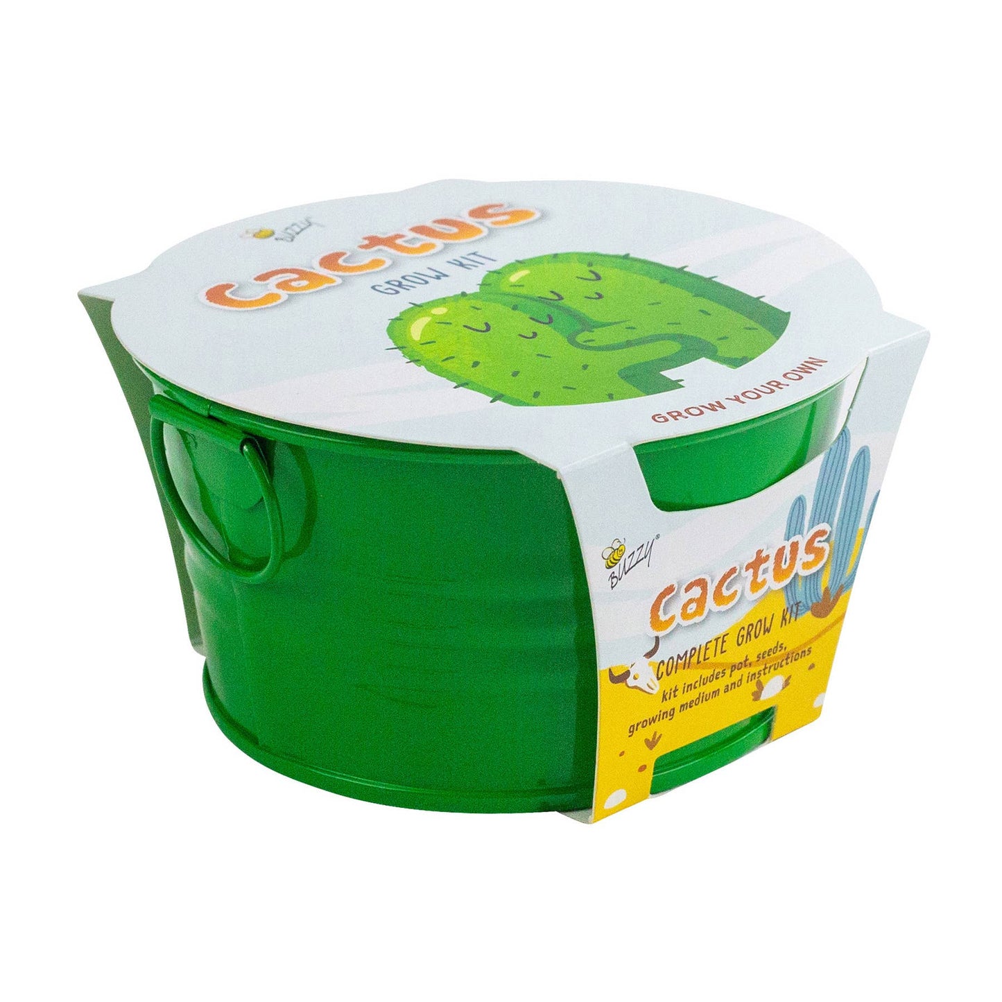 Kids Mini Painted Basin Cactus Grow Kit – Indoor Gift