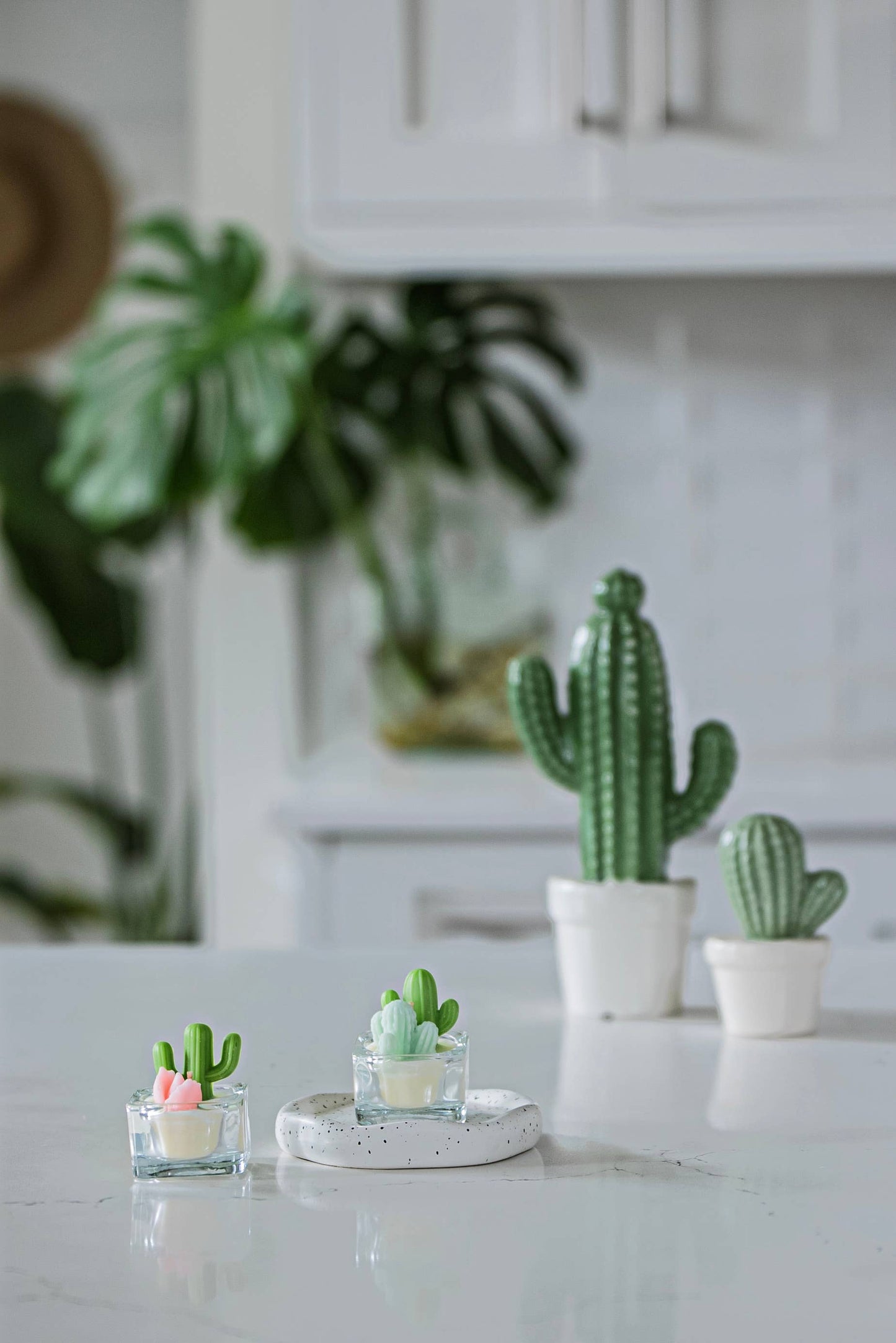 Succulent Garden Candle