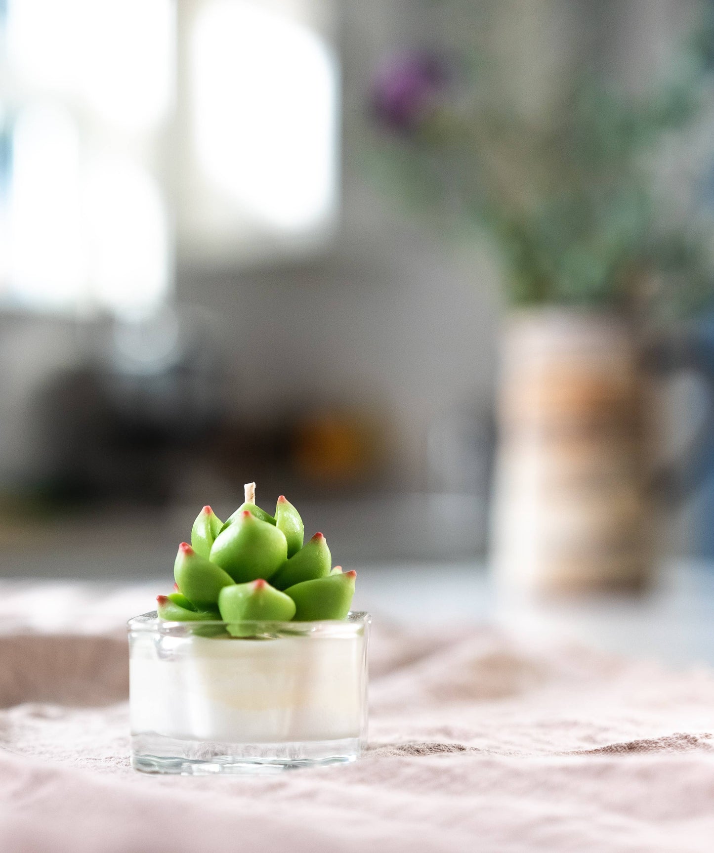 Succulent Tealight Candles | Soy Blend