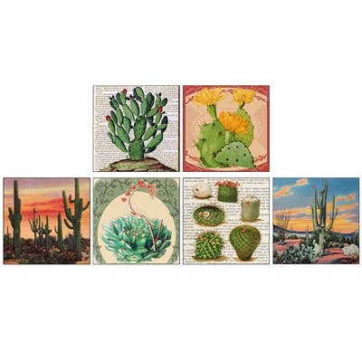 ANN367 - Desert Beauty Square Matchboxes 60Pack