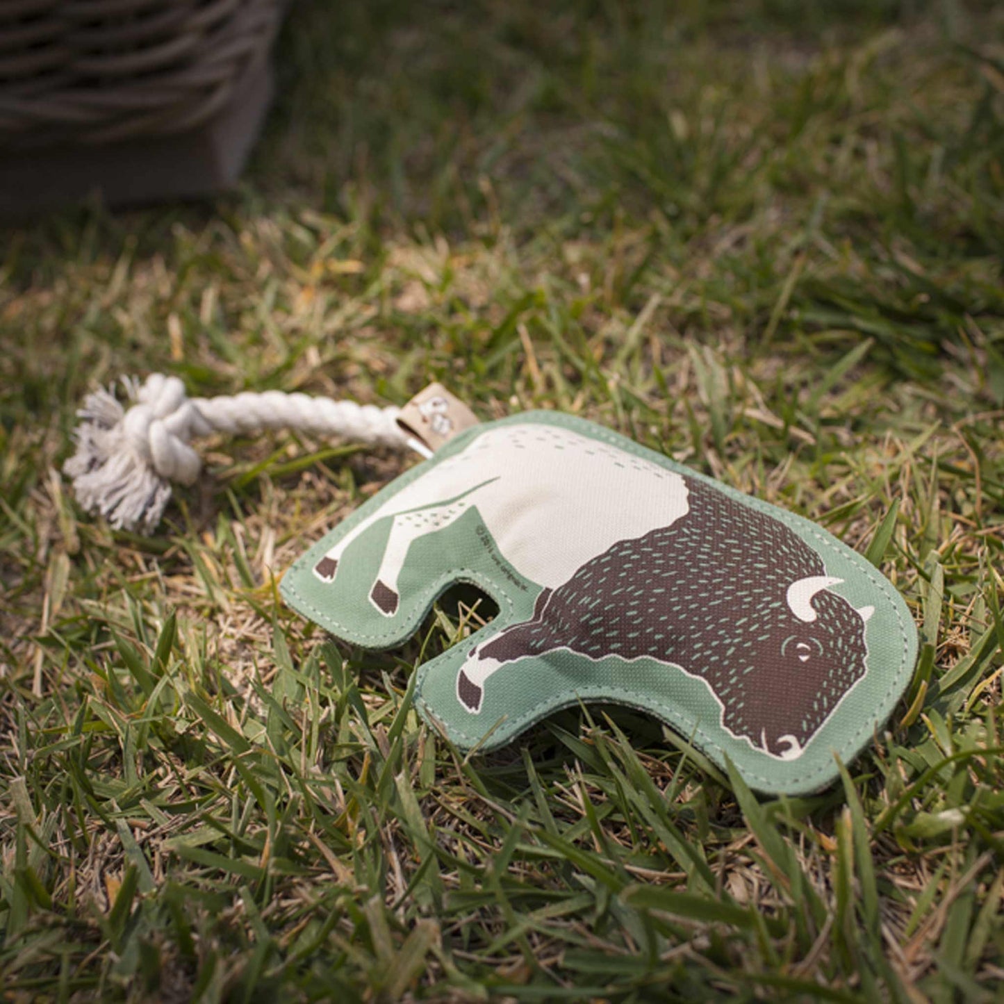 Rope Dog Toy | Buffalo