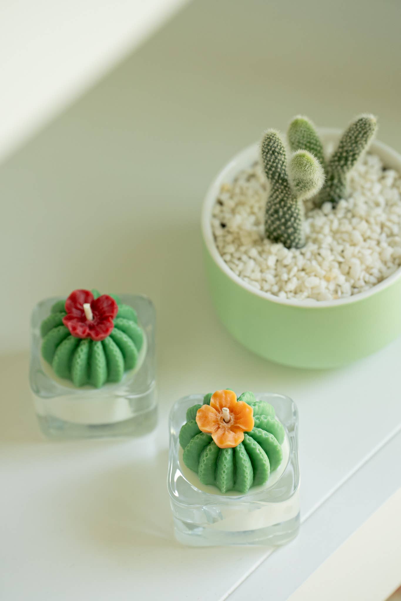 Barrel Cactus Candle: Green w/ purple