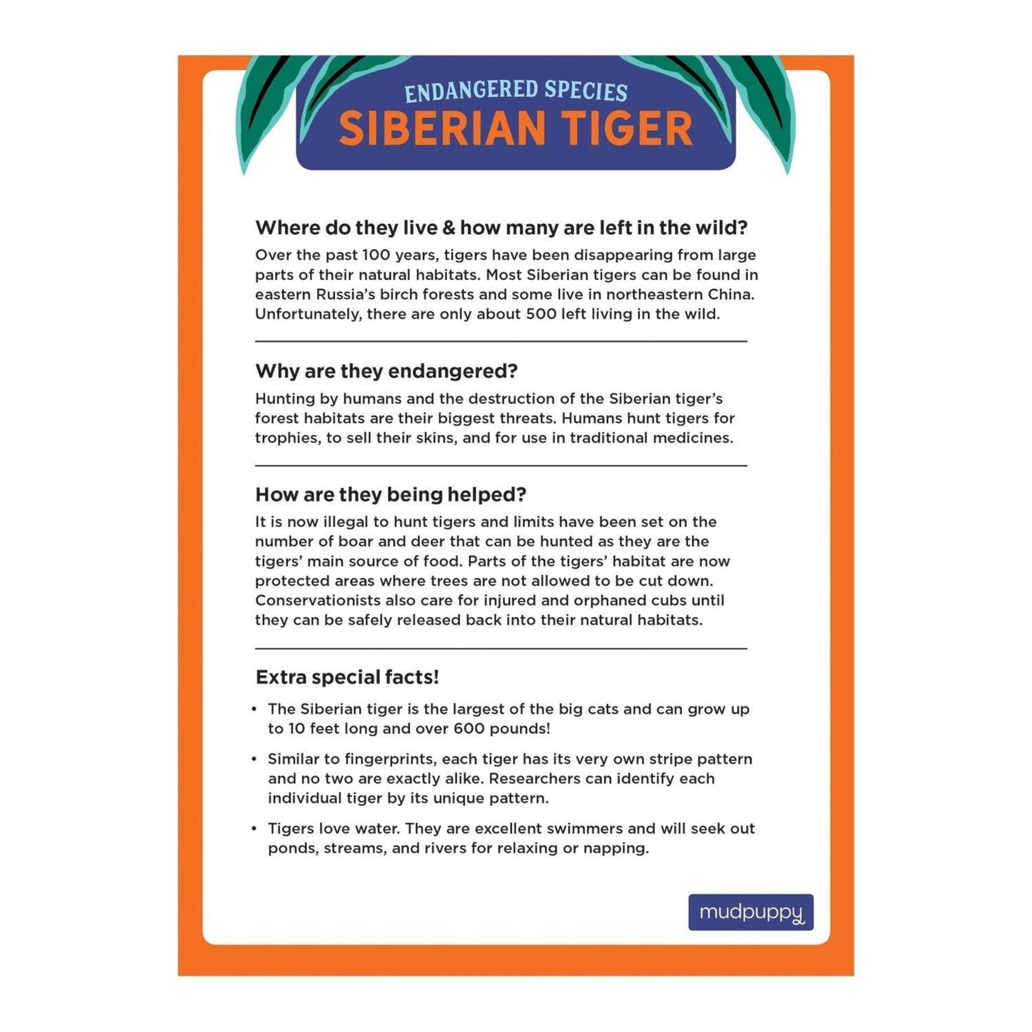 Siberian Tiger Endangered Species 300 Piece Puzzle