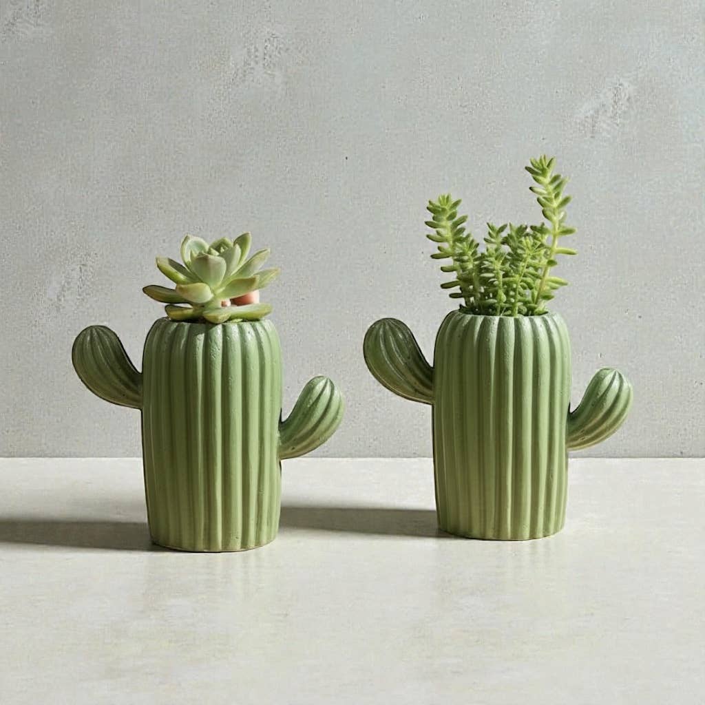 Concrete Western Cacti Planter Desk Organizer Home Decor