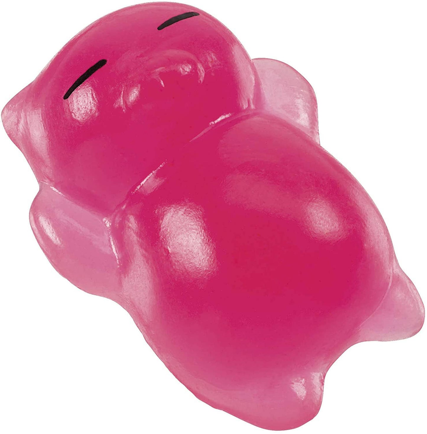 Kiji Buddy & Slime Kit- Random Color