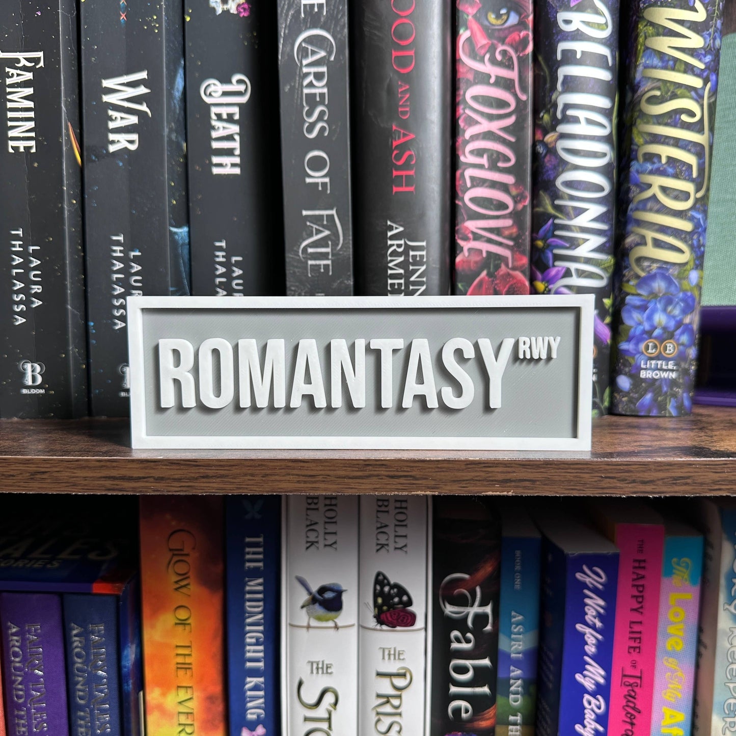 Romantasy Street Sign | Bookshelf Decor