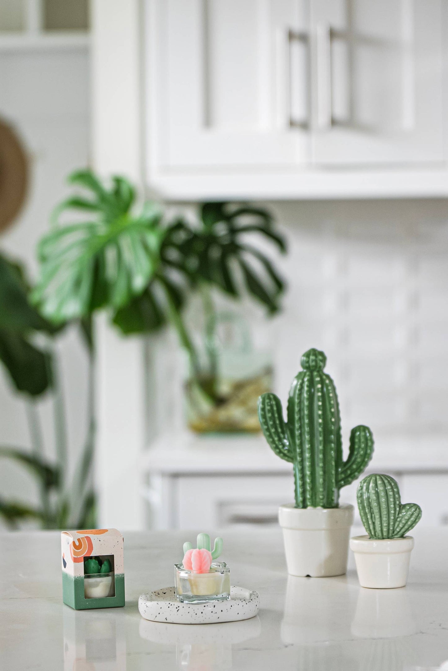 Succulent Garden Candle