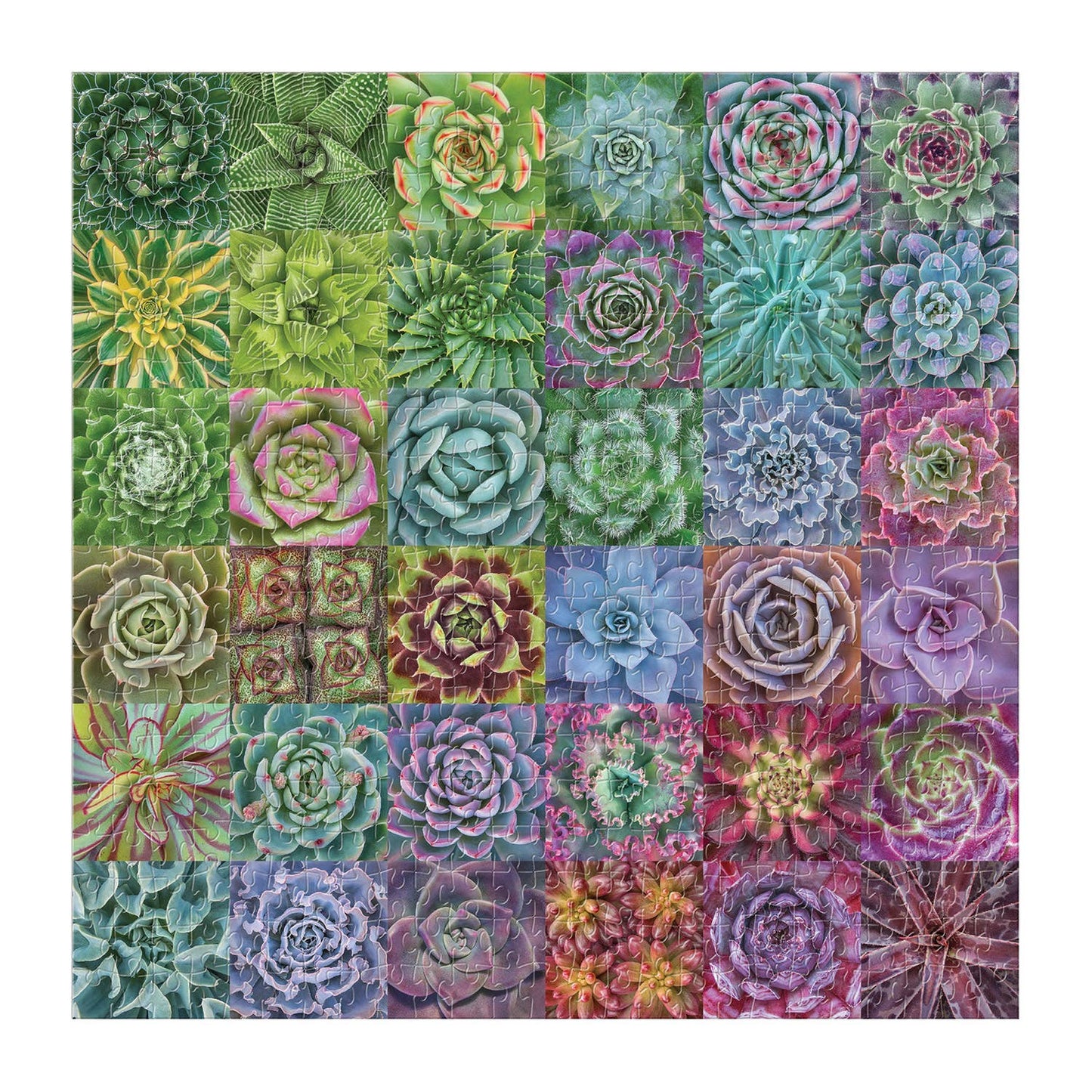 Succulent Spectrum 500 Piece Puzzle