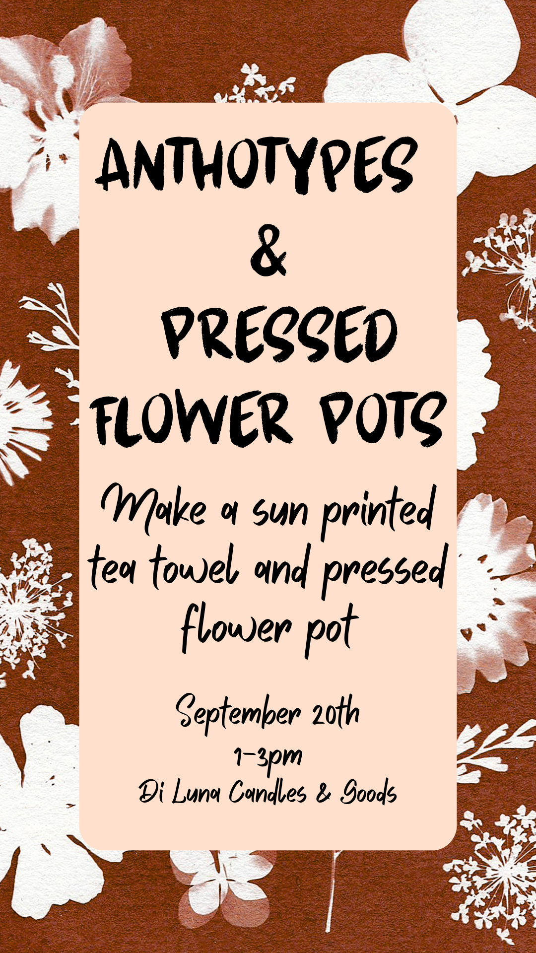 Anthotypes and Pressed Floral Pots