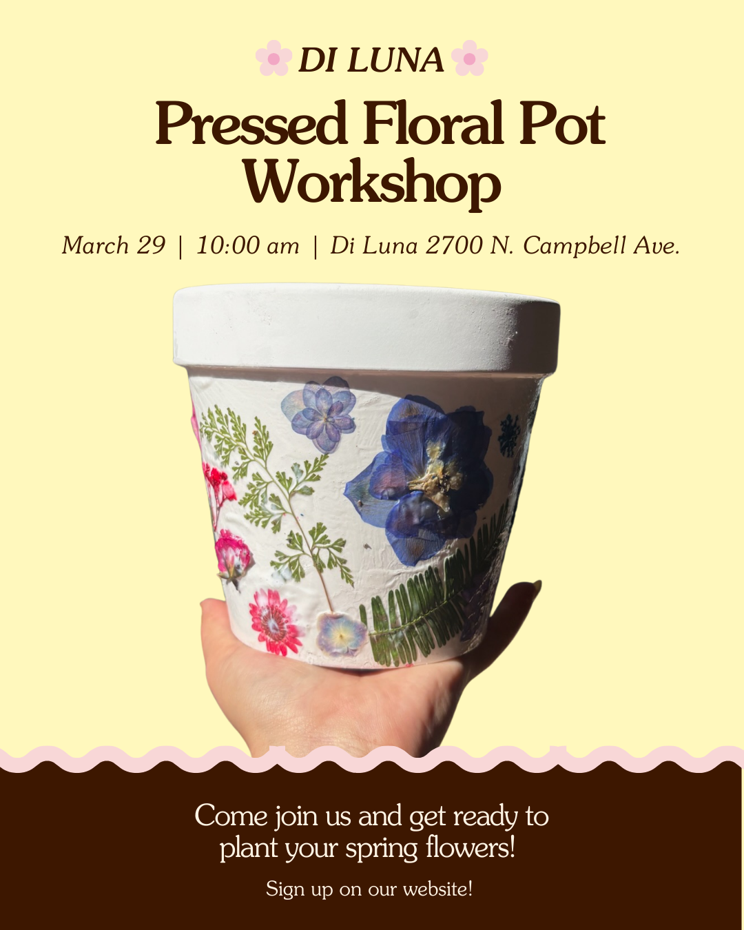 3/29 Terracotta Pot Decorating and Planting