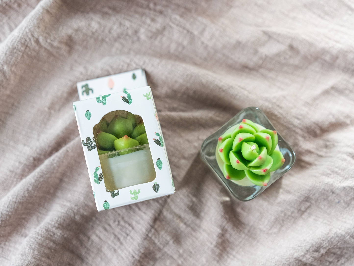 Succulent Tealight Candles | Soy Blend