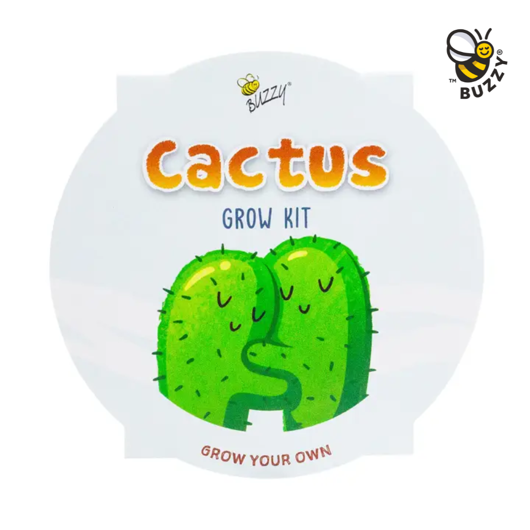 Kids Mini Painted Basin Cactus Grow Kit – Indoor Gift