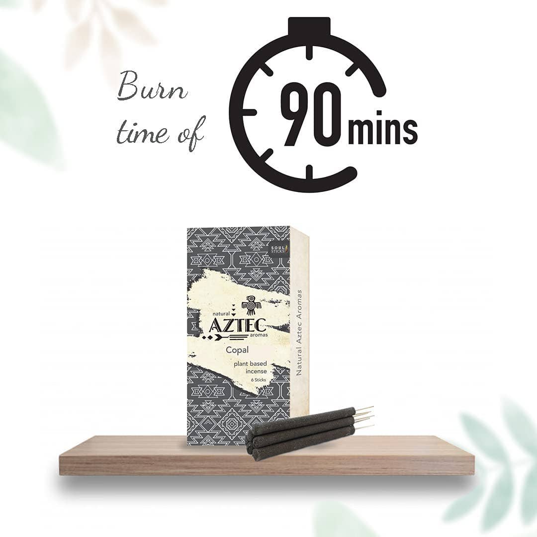 AZTEC - Copal Plant Based Incense (6)