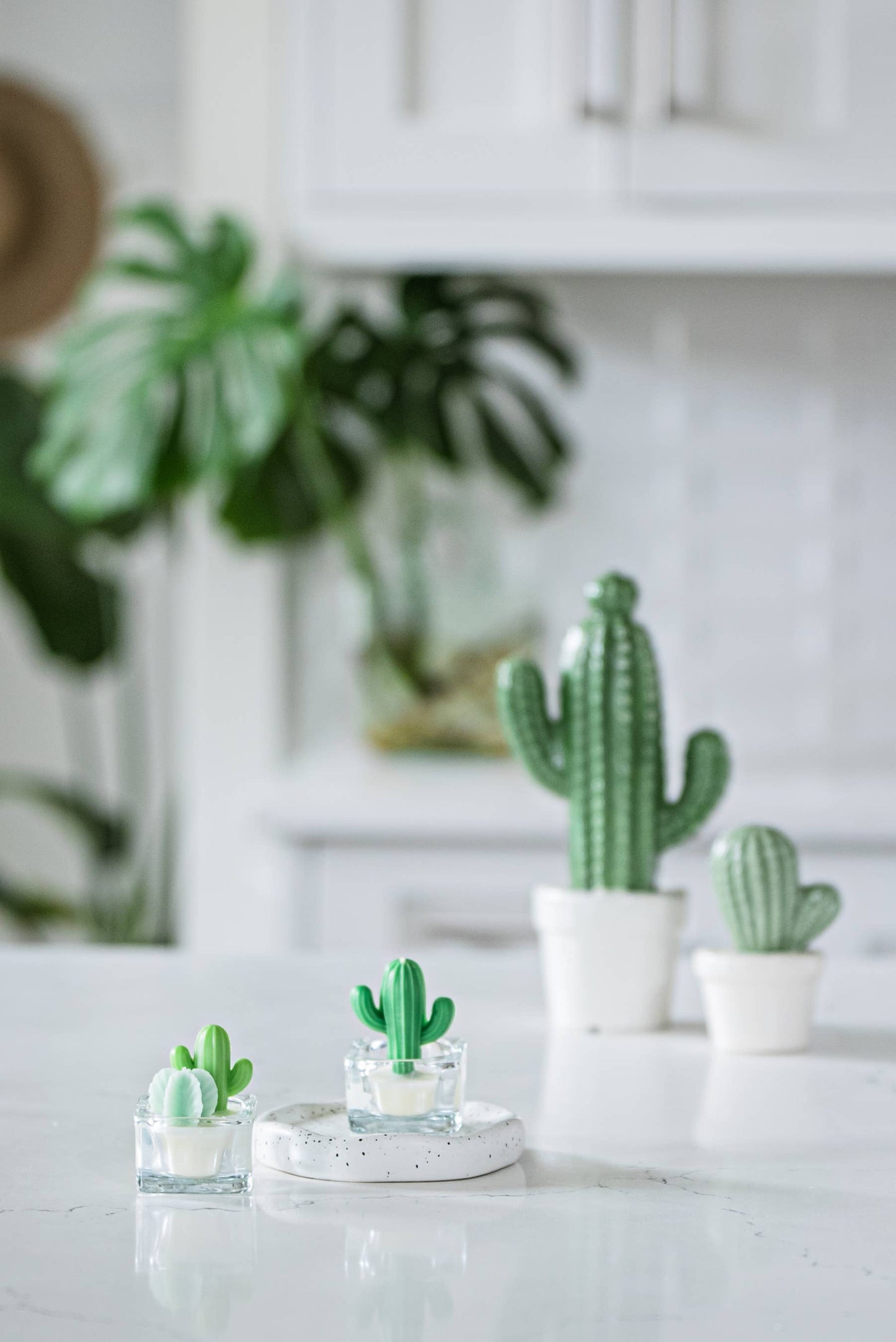 Succulent Garden Candle