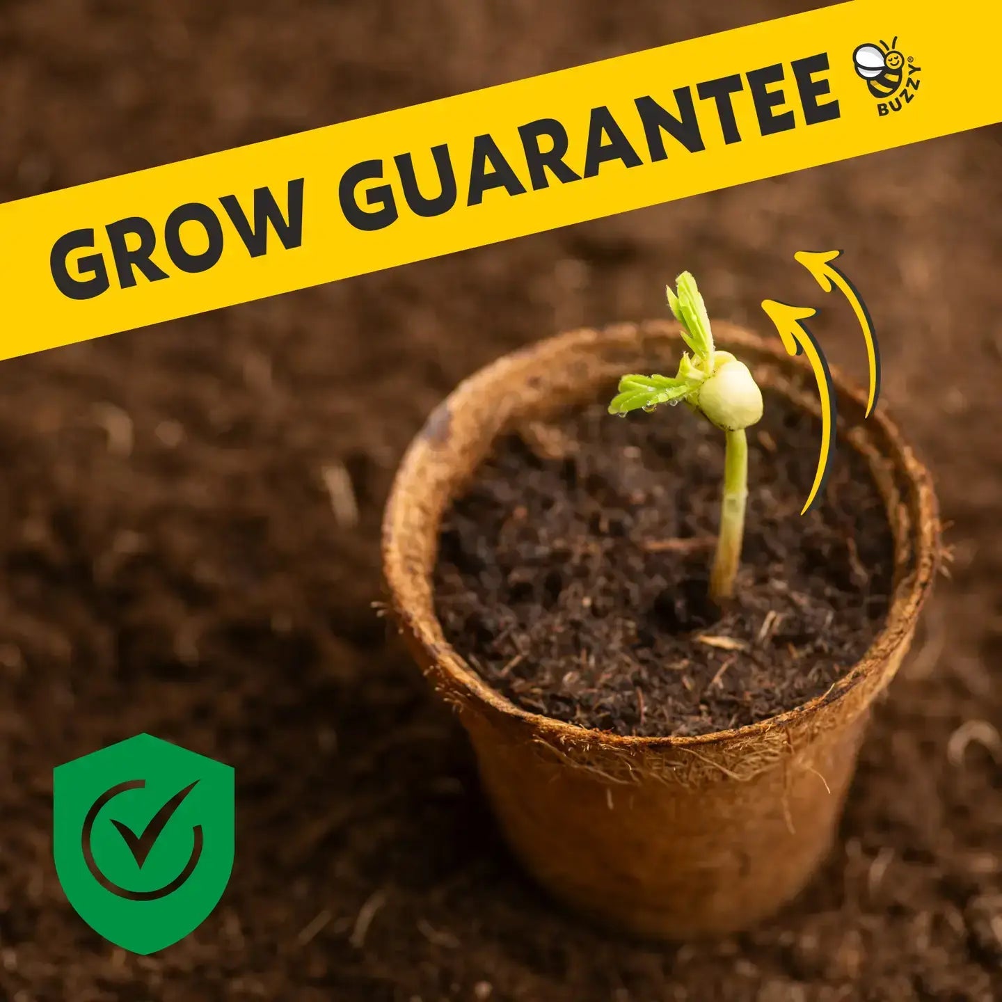 Save The Bees Kits | Paper Cups | Pollinator Seeds 12 Pack