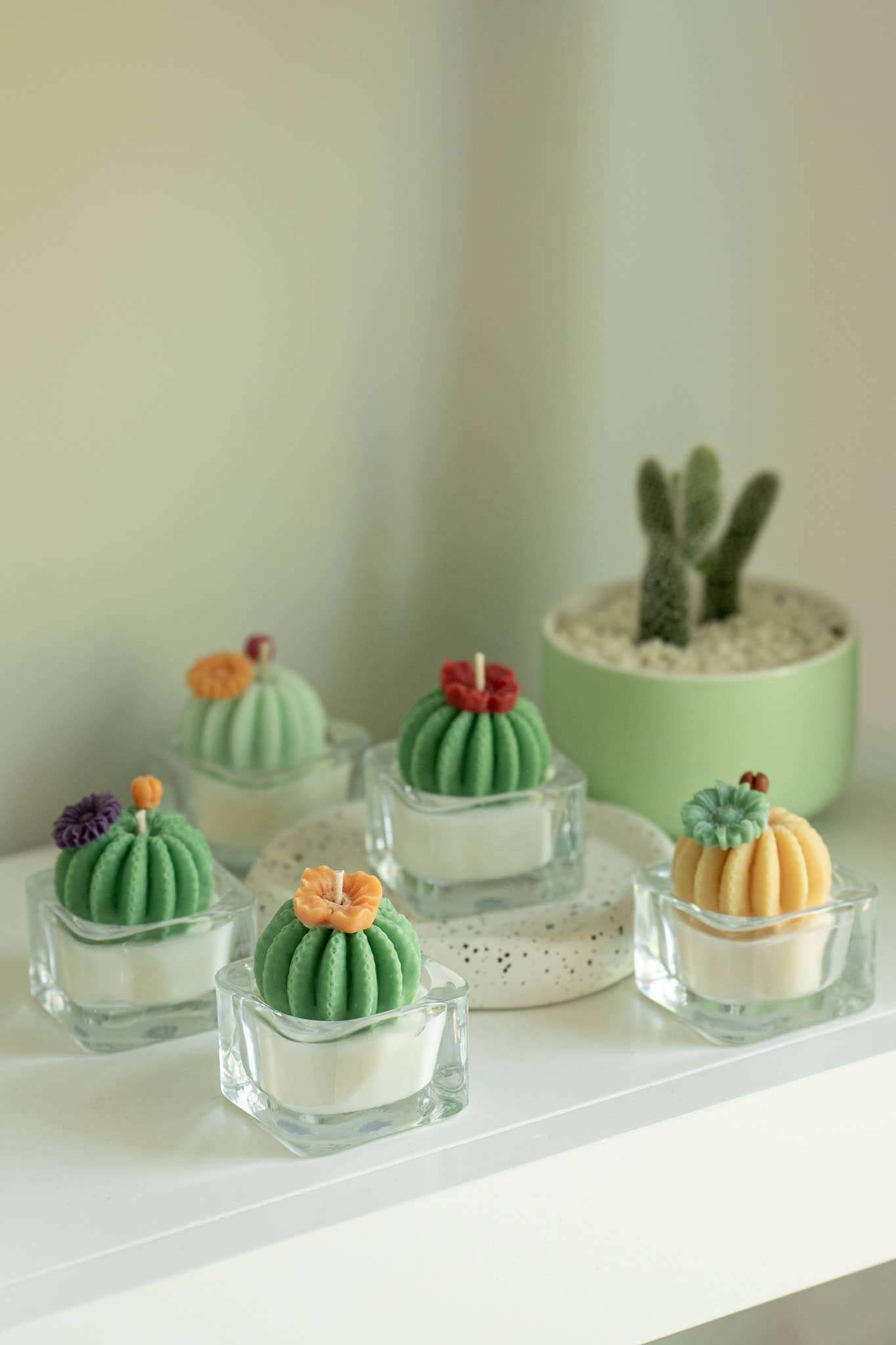 Barrel Cactus Candles: Green w/ red