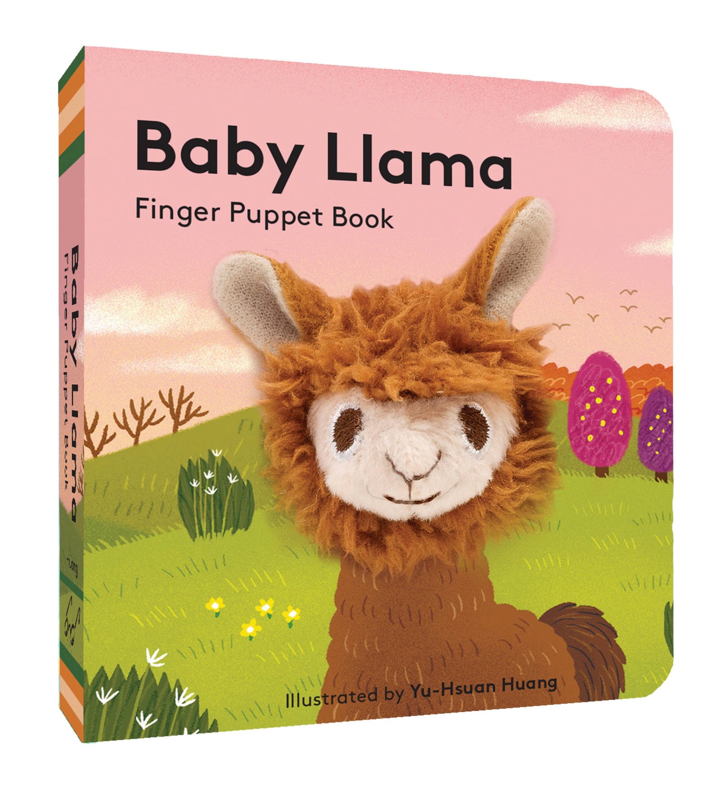Baby Llama