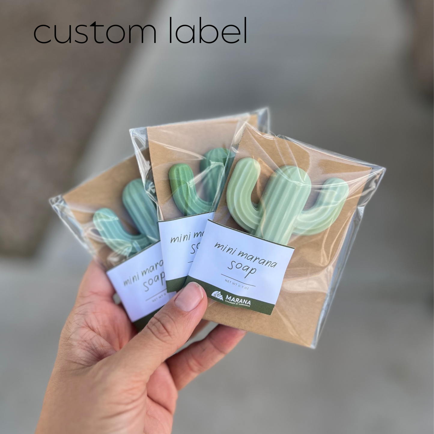 Mini Cactus Soap-  Pinks