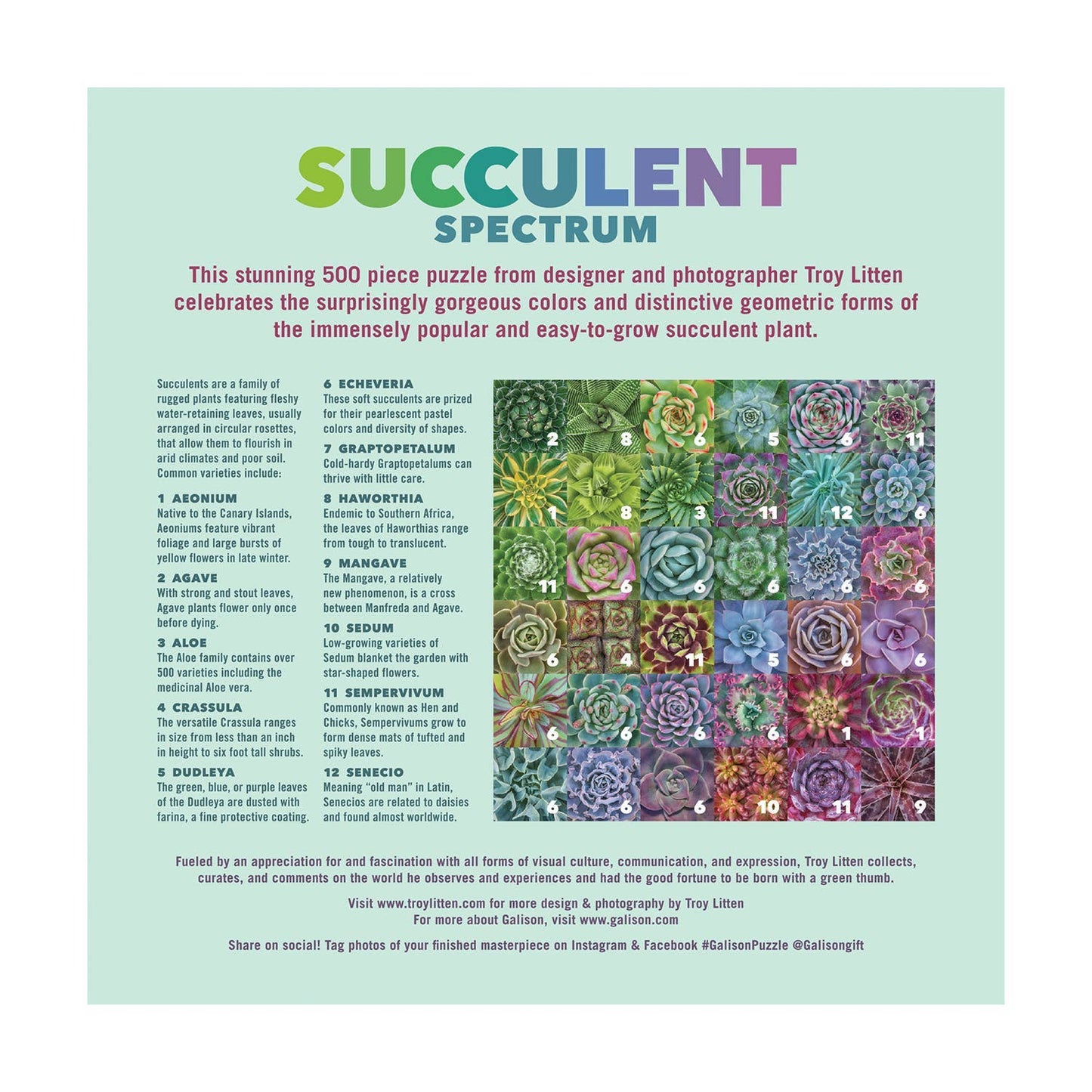 Succulent Spectrum 500 Piece Puzzle