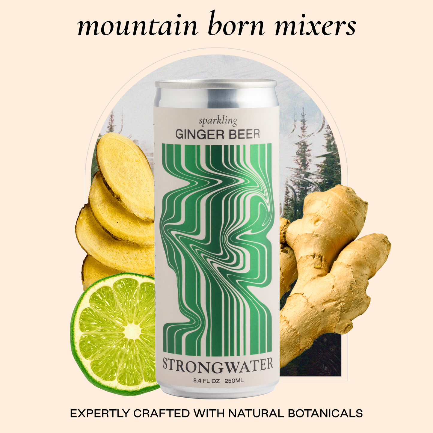 Ginger Beer - 24 Pack Of Cans